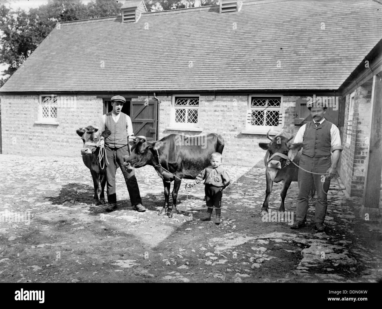 Agricultural Labourers 19th Century Stock Photos & Agricultural ...