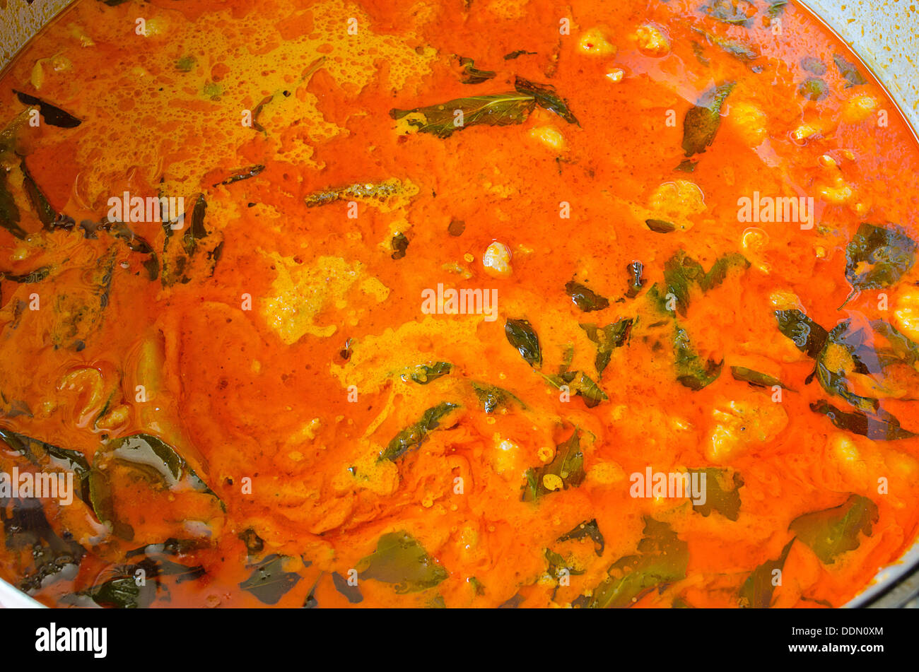 The Chicken Coconut Milk Green Curry Stock Photo