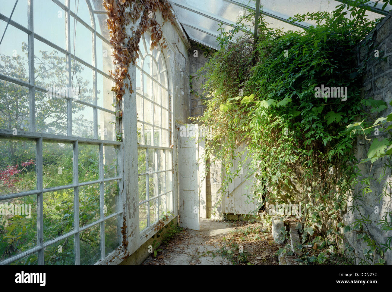 The orangery, 11 Lansdown Crescent, Bath, 1999. Artist: JO Davies Stock Photo