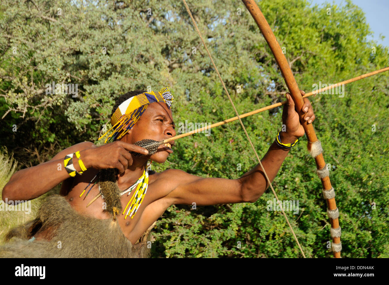Hadza tribe hires stock photography and images Alamy