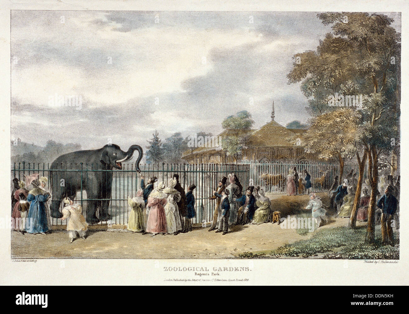 Zoological Gardens, Regent's Park, London, 1835.  Artist: George Scharf Stock Photo