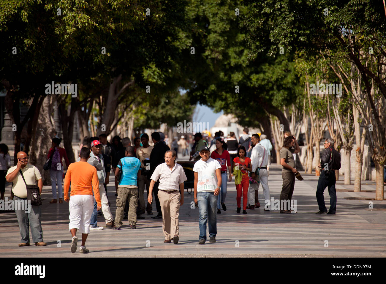 pedestrians walking on Paseo del Prado, Havana, Cuba, Caribbean Stock Photo