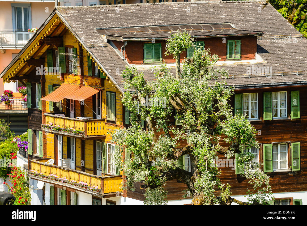 Chalet Belvedere Grindelwald Switzerland Stock Photo Alamy