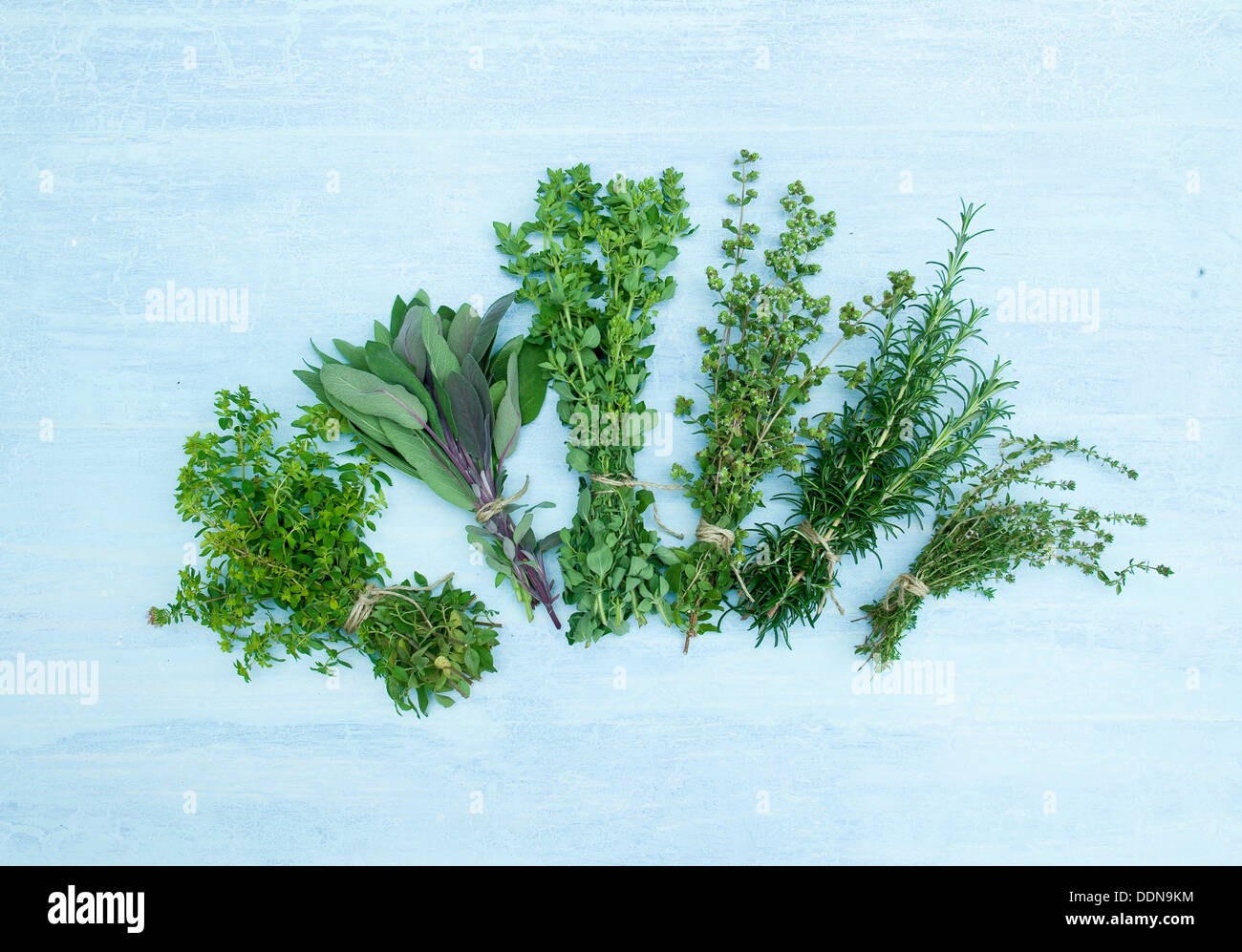 Bunches of marjoram, thyme, oregano, sage and rosemary tied up for drying on a rustic blue wood surface. Stock Photo