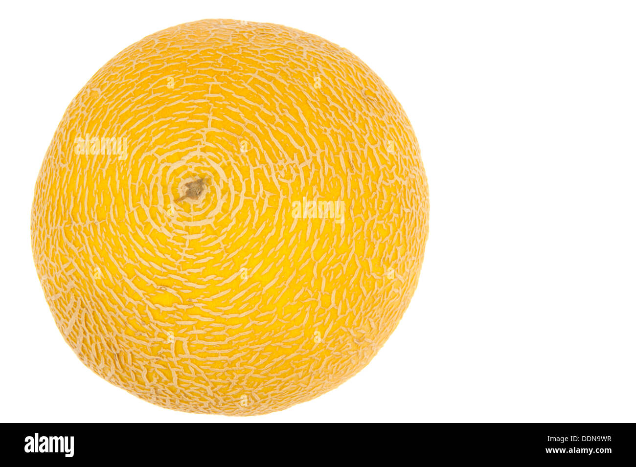 The concentric shaped ribbed skin of a yellow melon isolated in white Stock Photo