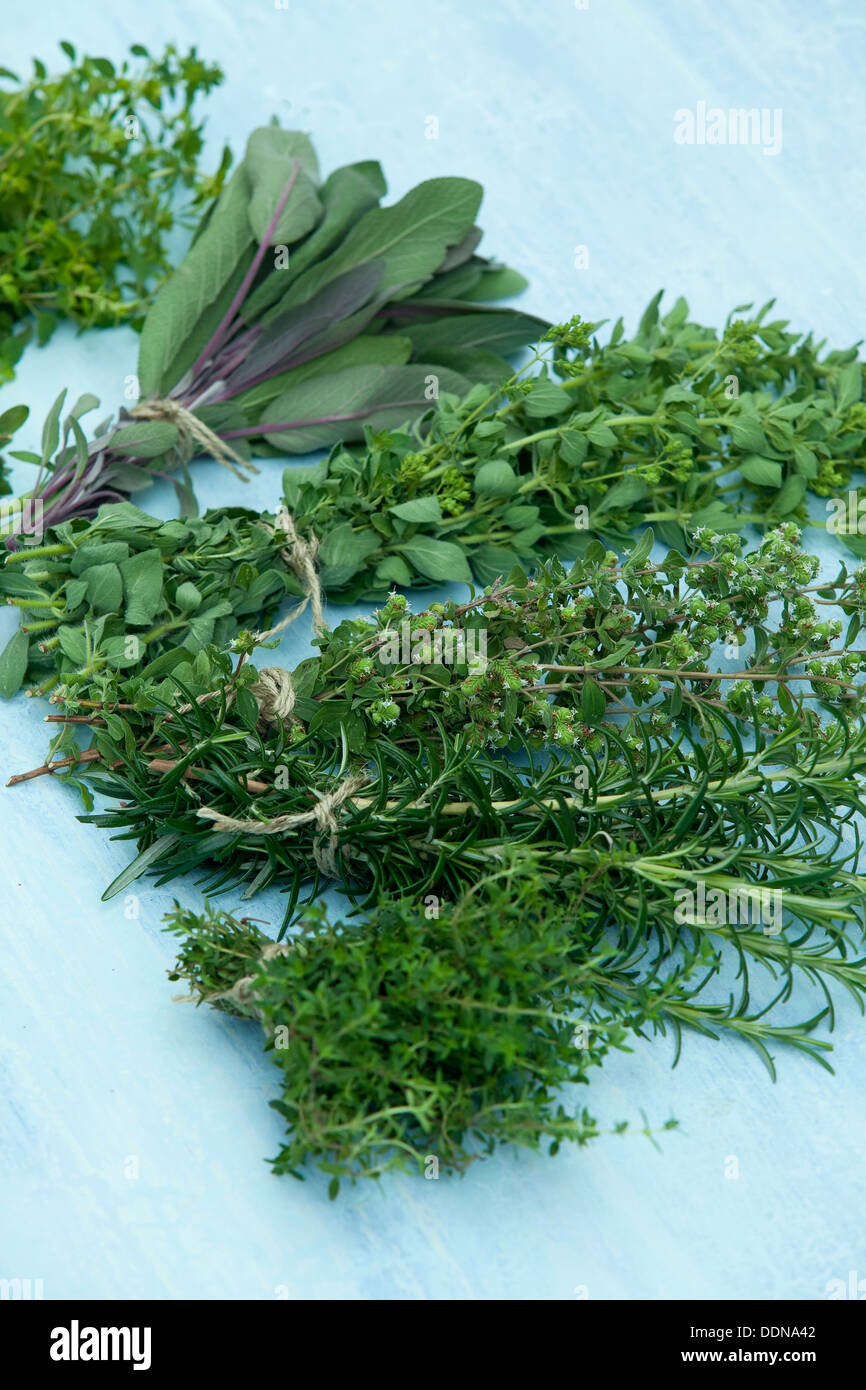 Bunches of marjoram, thyme, oregano, sage and rosemary tied up for drying on a rustic blue wood surface. Stock Photo