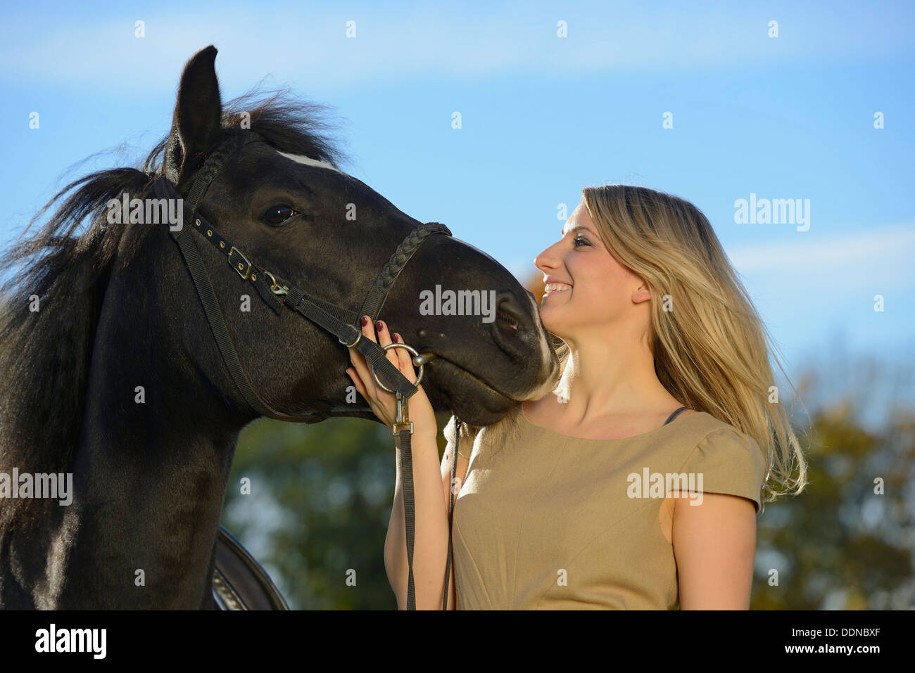 Young woman with horse, Upper Palatinate, Germany, Europe Stock Photo