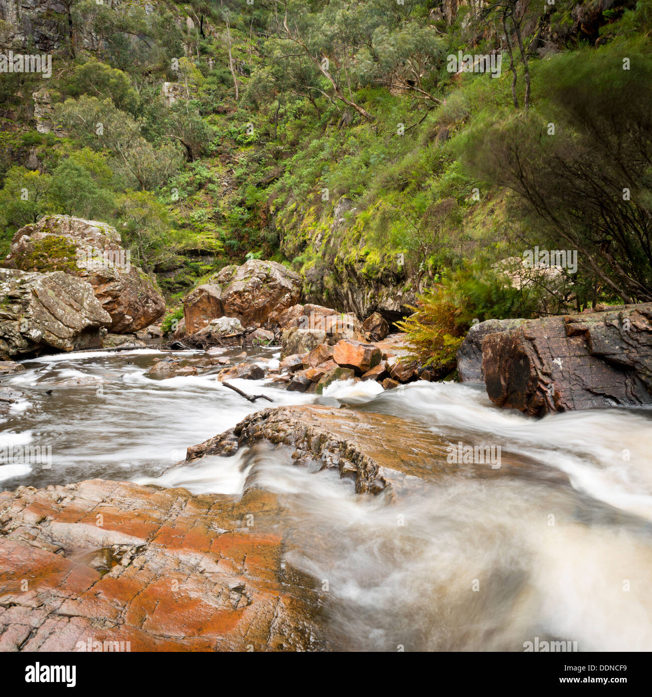 MacKenzie Falls waterfall in the Grampians region of Victoria, Australia Stock Photo