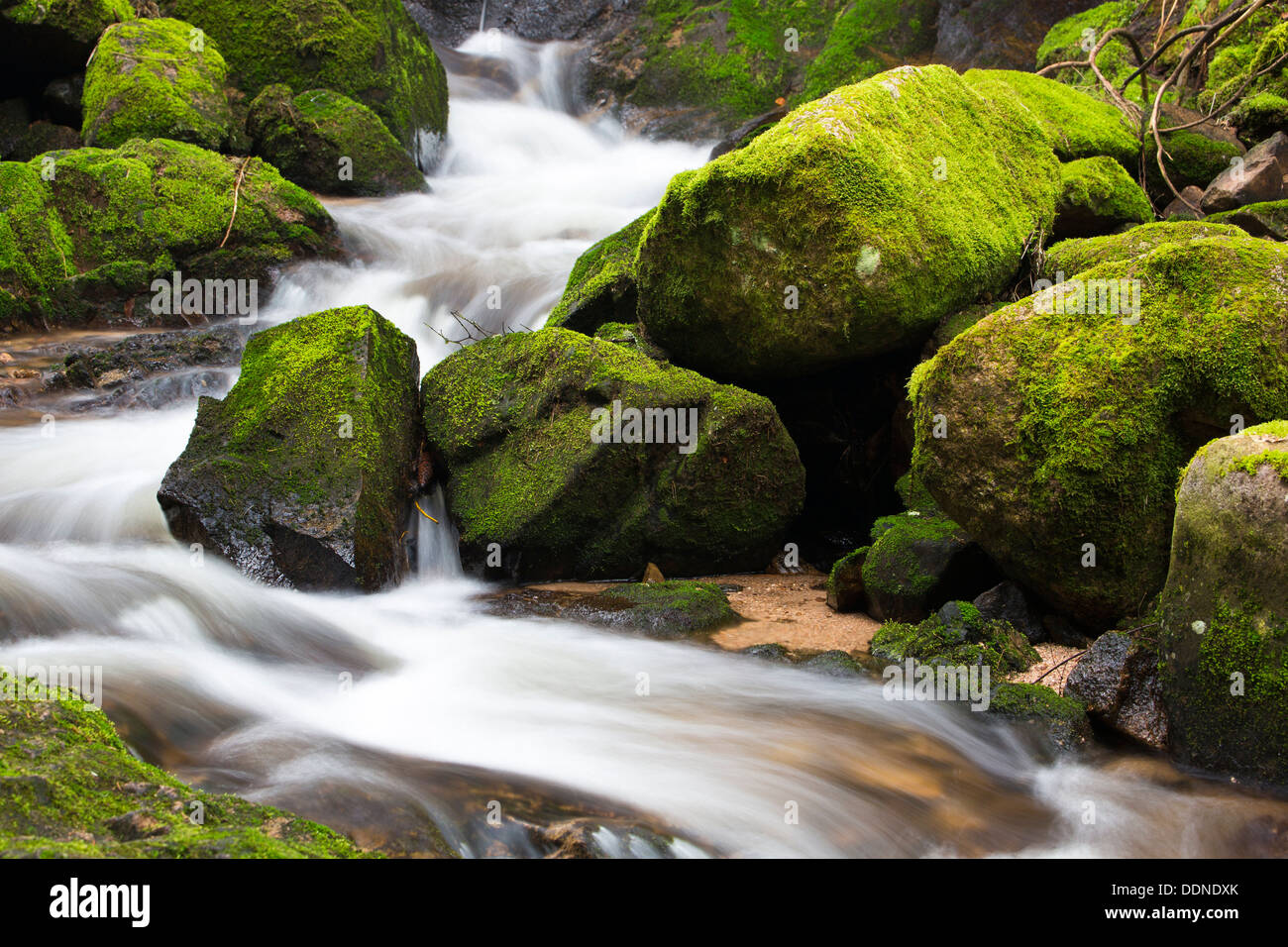 Waterfall, Schluchtensteig, Black Forest, Baden-Wuerttemberg, Germany, Europe Stock Photo