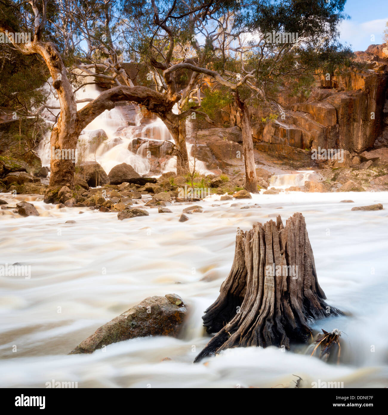 Beautiful Nigretta Falls waterfall in Western Victoria, Australia with high flow during winter time in time-lapse Stock Photo