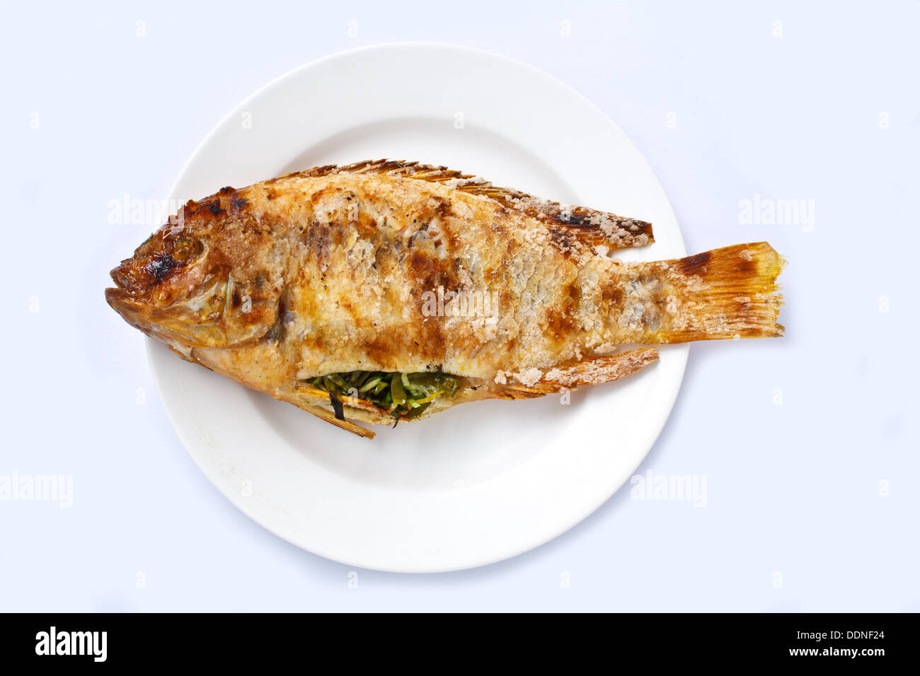 Red tilapia hires stock photography and images Alamy