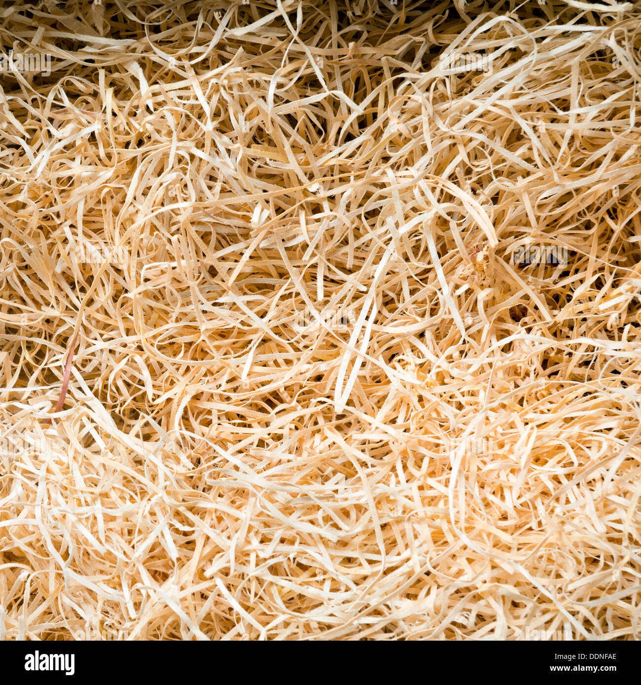 Raffia or twine all bundled up as a background Stock Photo