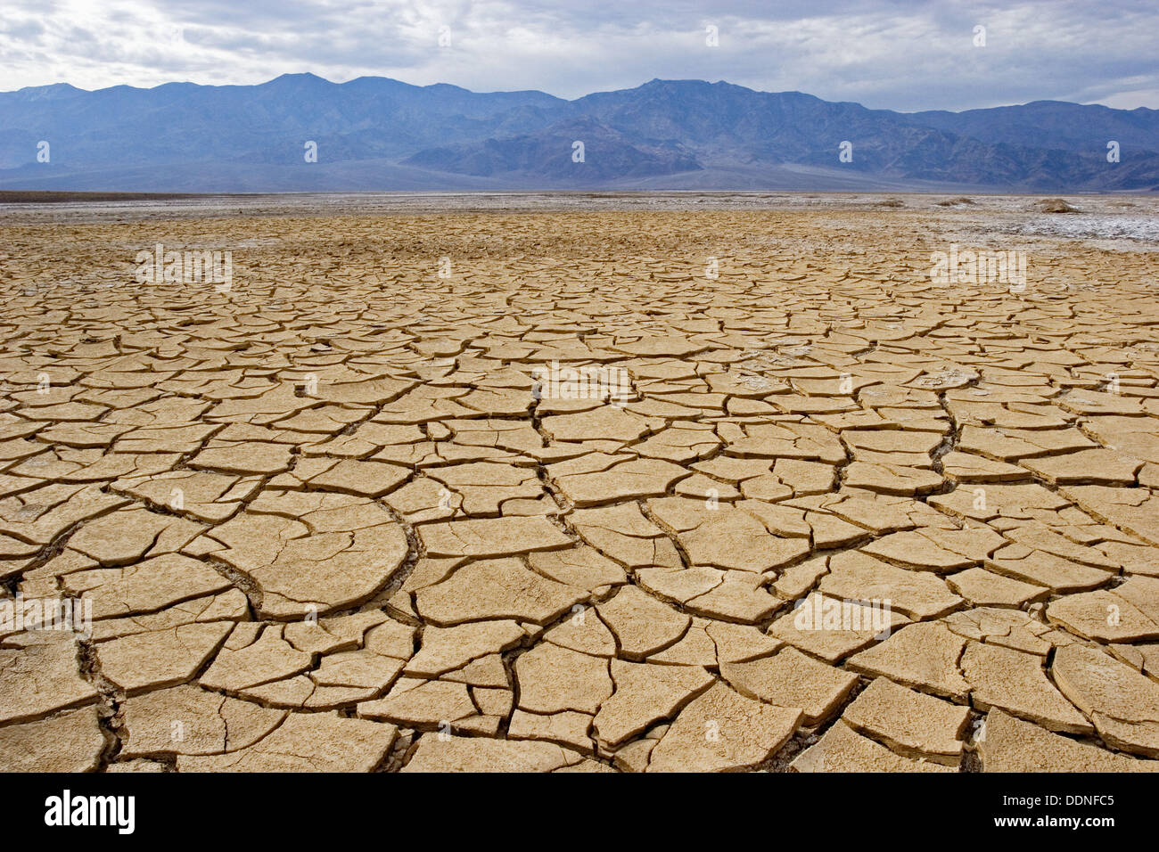 Image Dry Lake Bed In Hi res Stock Photography And Images Alamy image-dry-lake-bed-in-hi-res-stock-photography-and-images-alamy