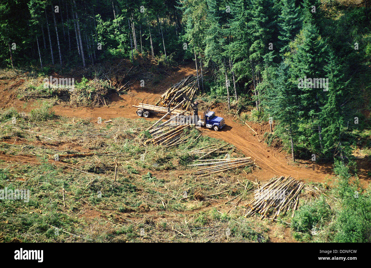Aerial view of logging operation. Oregon. USA Stock Photo Alamy