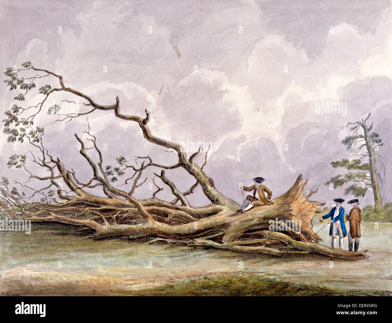 Trees damaged by a storm of 15th October, Roehampton, London, 1780. Artist: Edwin Edwards Stock Photo