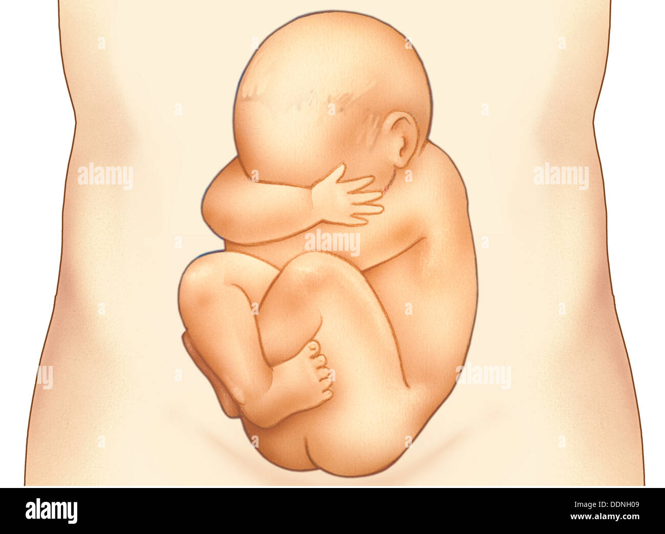 Breech baby hi res stock photography and images Alamy