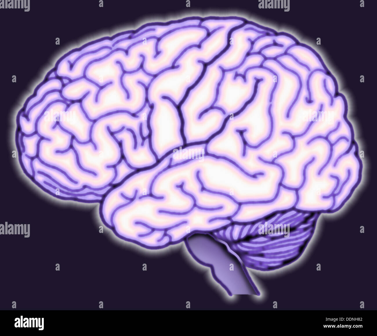 Human shapes of colors hi-res stock photography and images - Alamy