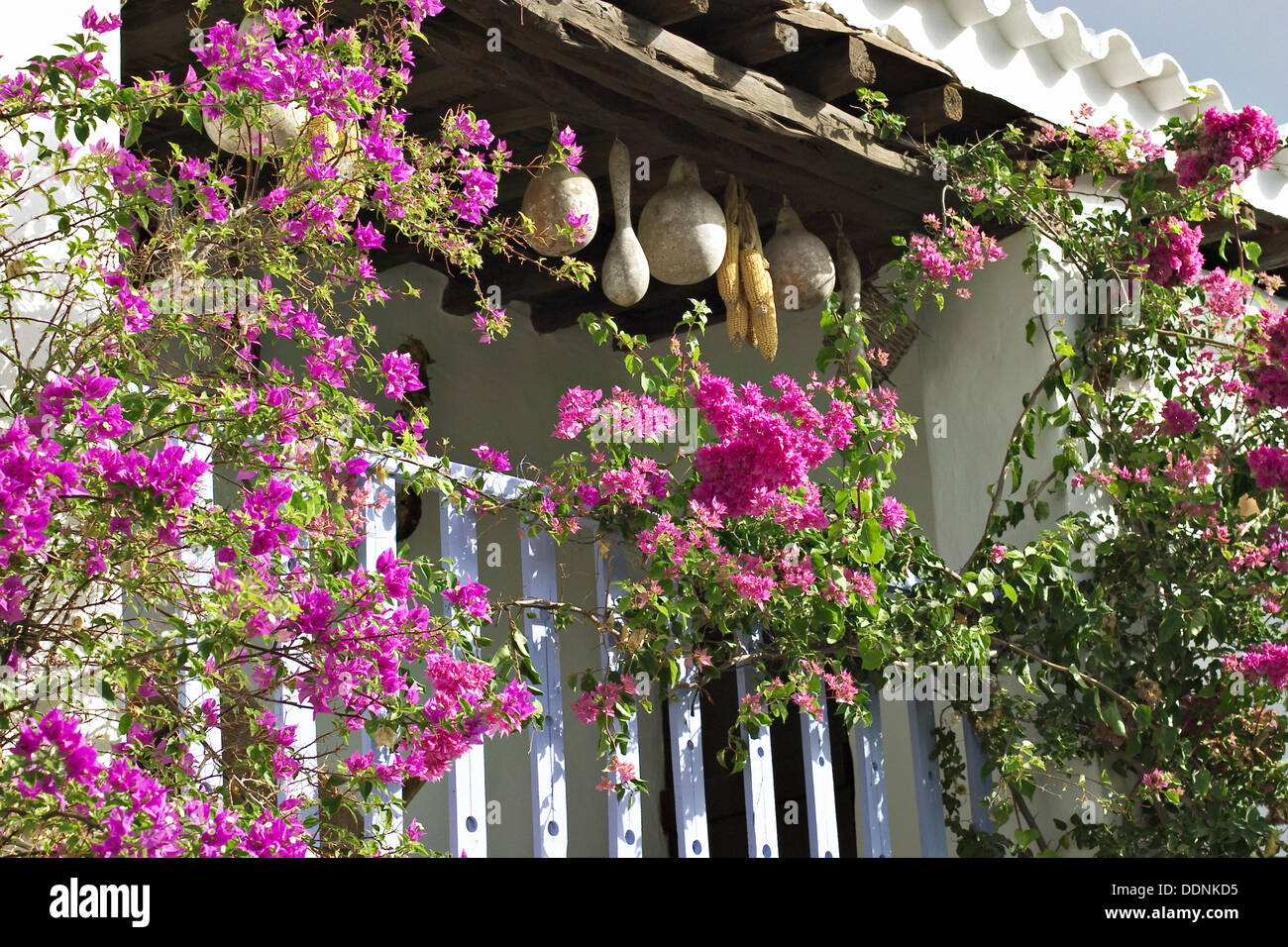 Es Trui de Ca n´Andreu, typical 17th century house in Sant Carles de Peralta. Ibiza, Balearic Islands. Spain Stock Photo