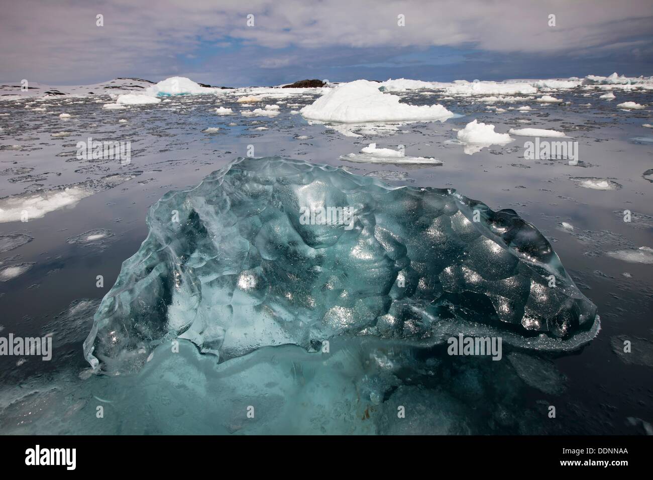 Hard, highly compressed translucent ice floats among floats, Penola Strait, Antarctic Peninsula. Stock Photo