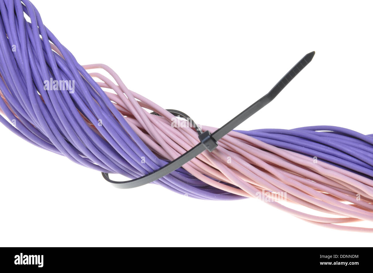 Purple cables line with cable ties Stock Photo Alamy