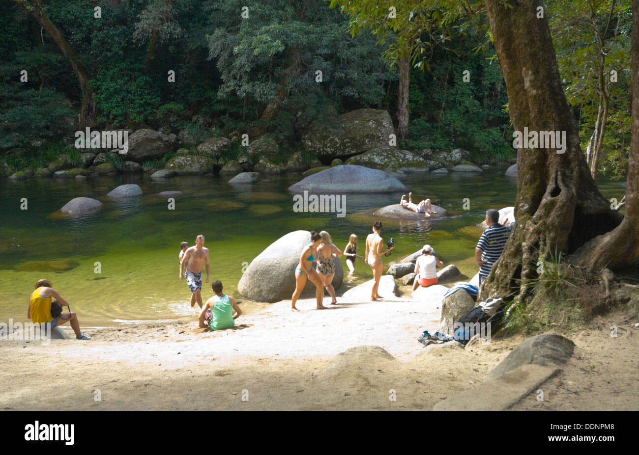 Swimming Hole Mossman Queensland Australia Stock Photo 60100440 Alamy