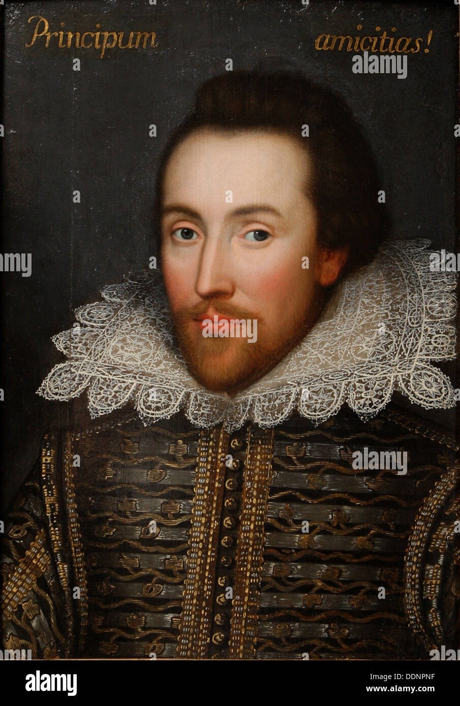 THE COBBE PORTRAIT  Early Jacobean painting by unknown artist though to be of William Shakespeare Stock Photo