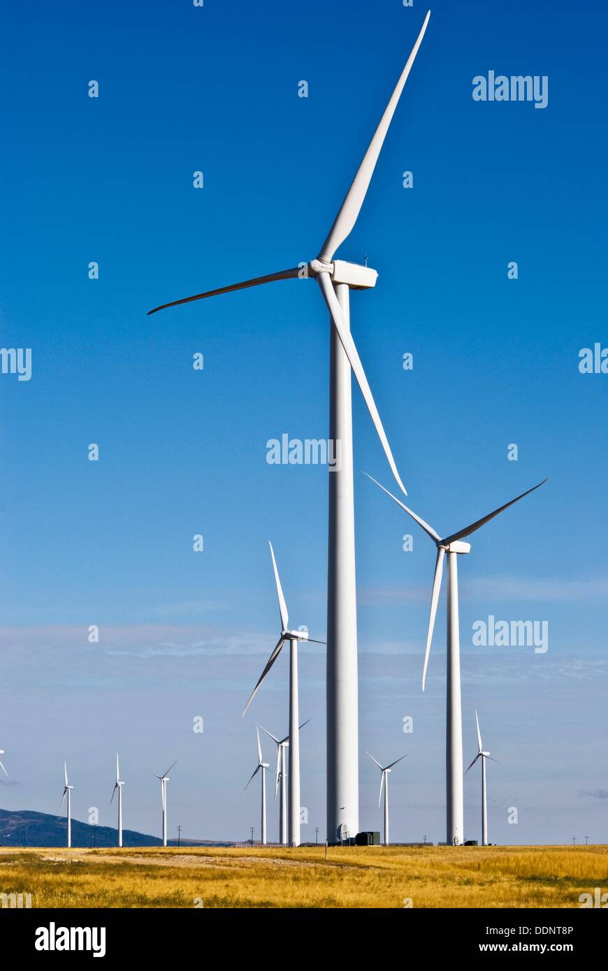 Several wind turbines on calm morning, Judith Gap, Montana Stock Photo