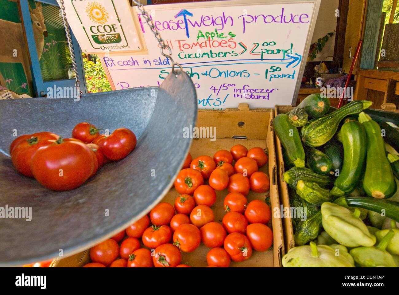 Fresh organic vegetables at roadside produce stand, Humboldt County