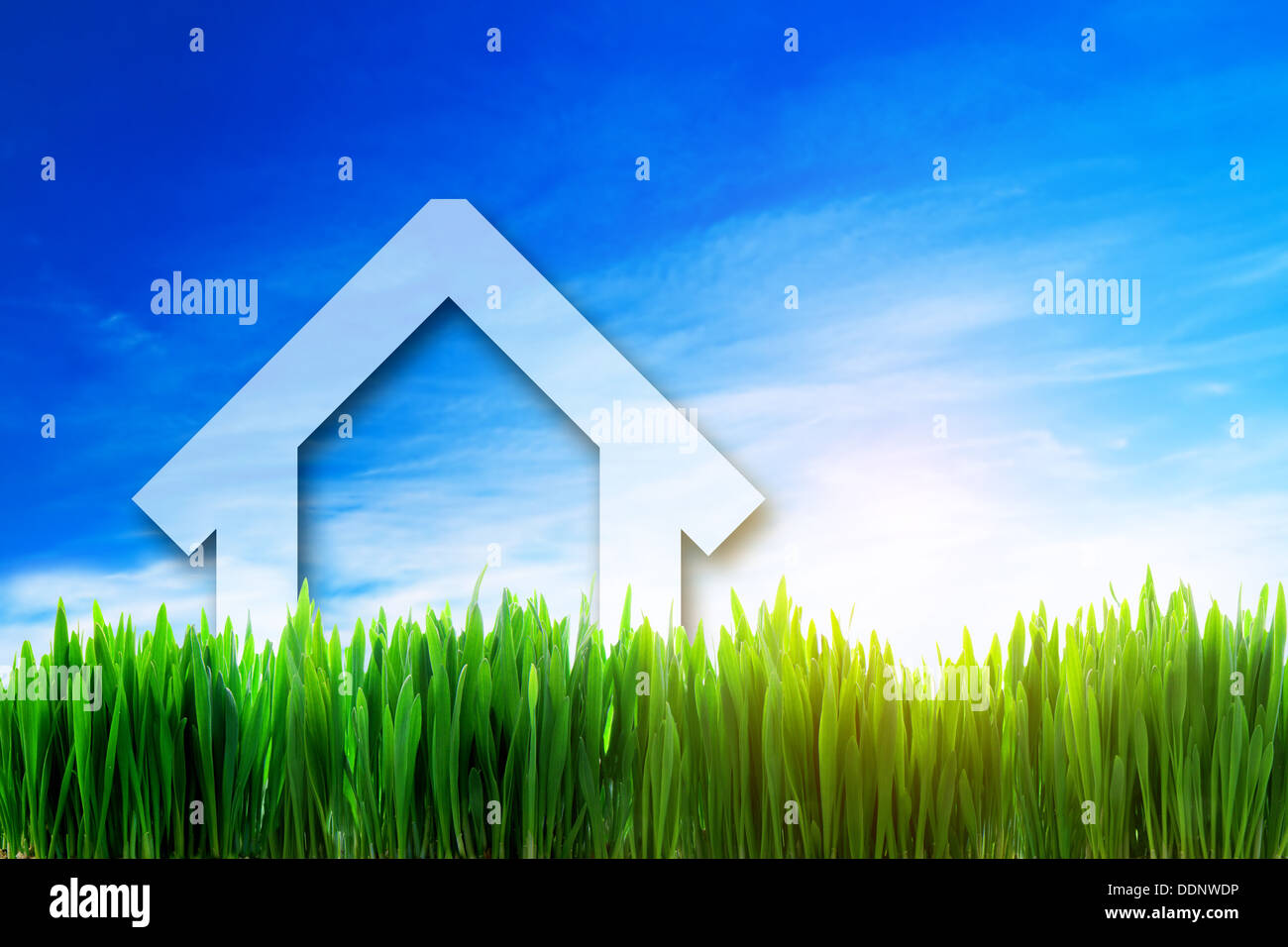 New house outline in a sunny field. Eco, environment, housing concept Stock Photo
