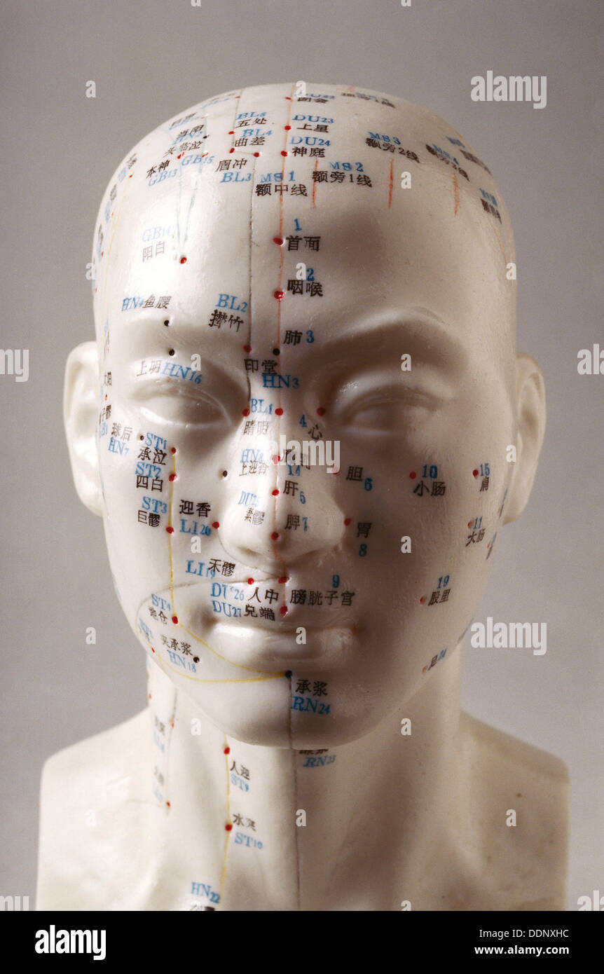 Model human head acupuncture points hires stock photography and images