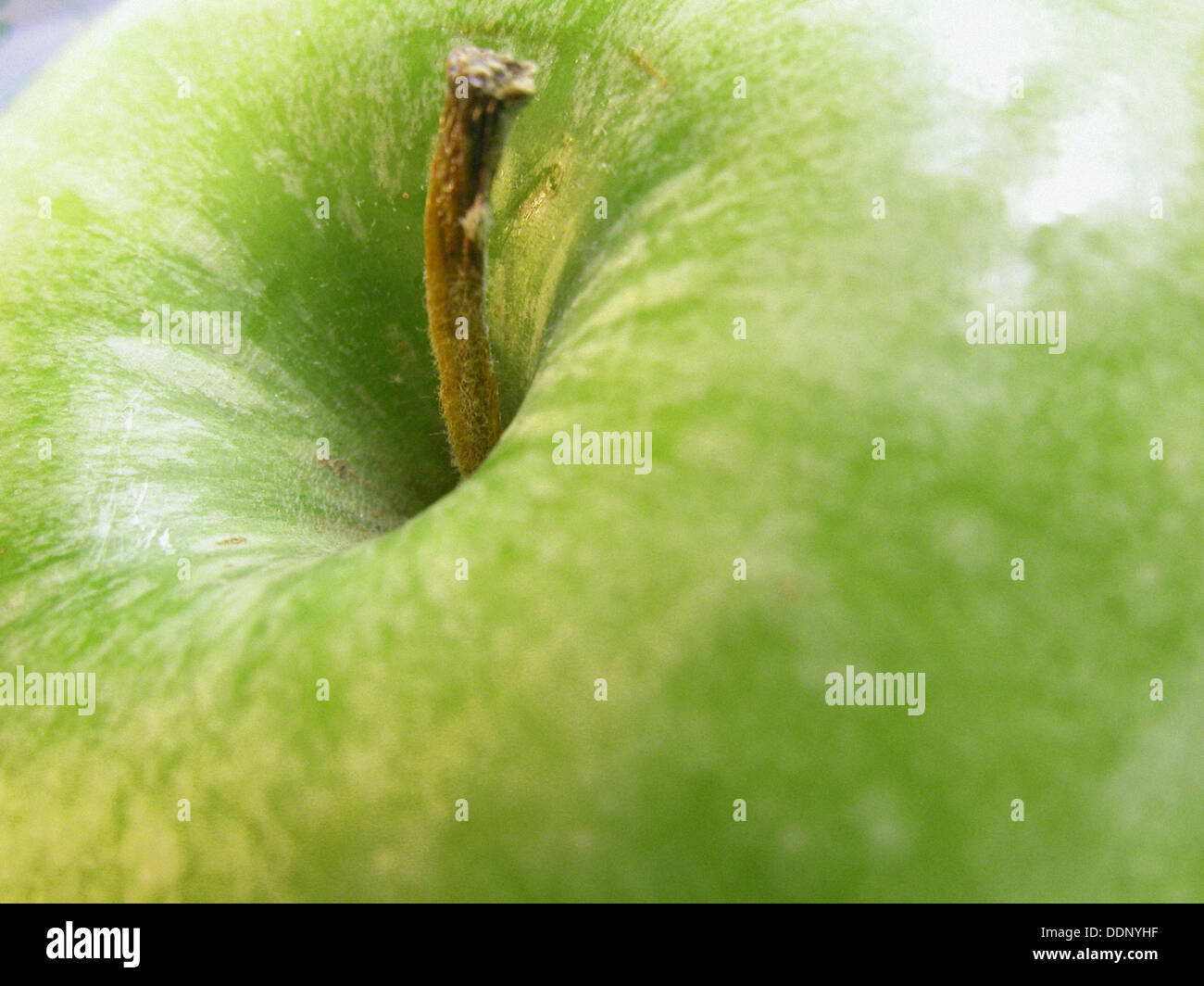 Granny Smith apple Stock Photo Alamy