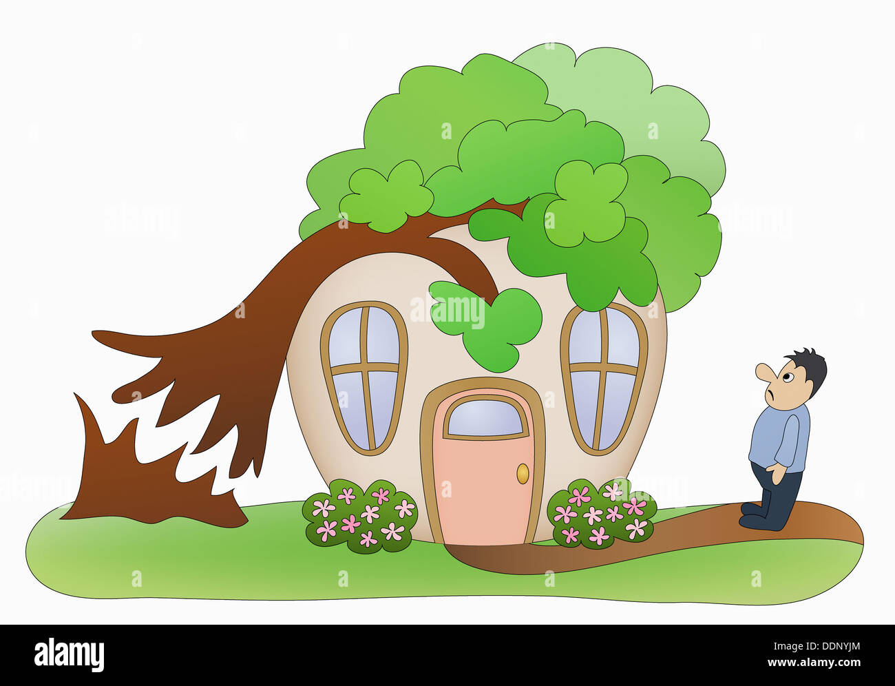 Household disaster tree falling on house Stock Photo Alamy
