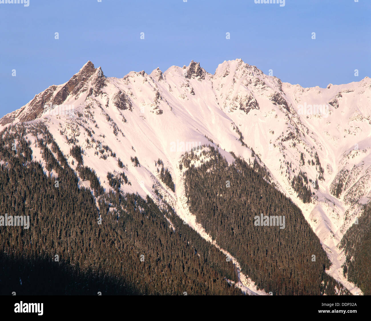 Nooksack Ridge. Mt. Baker Wilderness, late afternoon. Light North