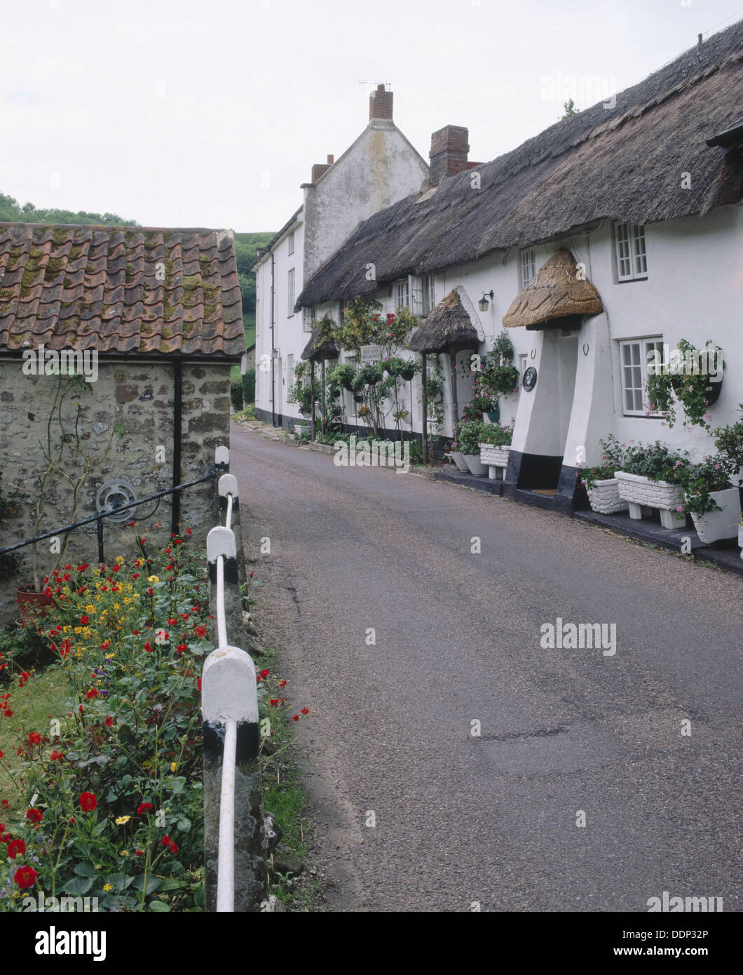 Longview cottage B&B in village. Devon, England, UK Stock