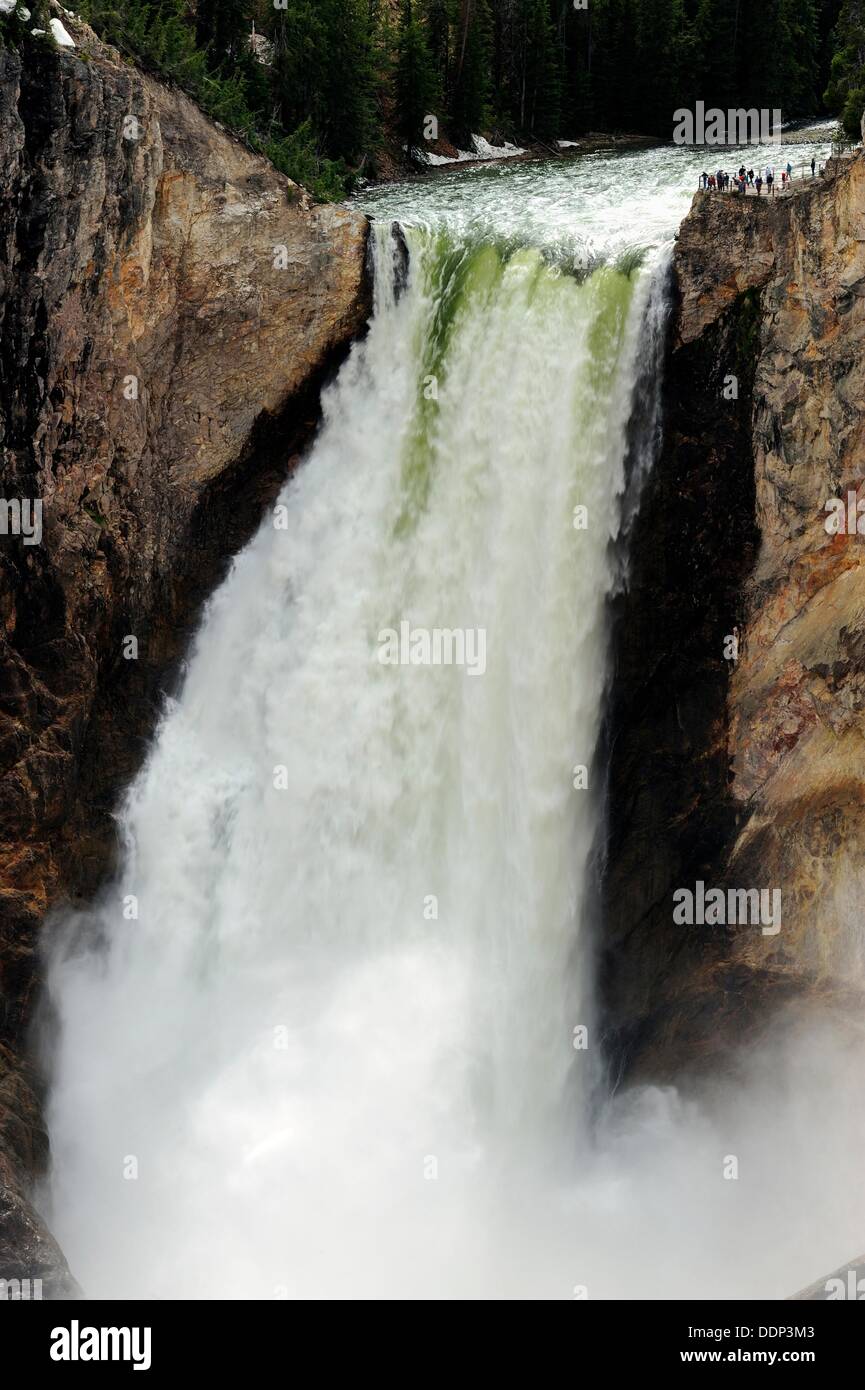 Lower Falls of the Yellowstone River Stock Photo Alamy
