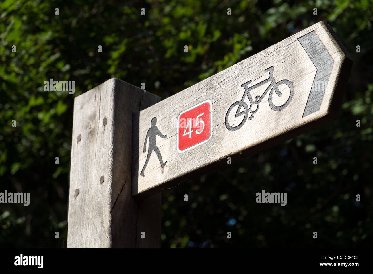 A Wooden UK National cycle route sign showing the direction of th path, depicting a bicycle, a walker and the number 45 Stock Photo