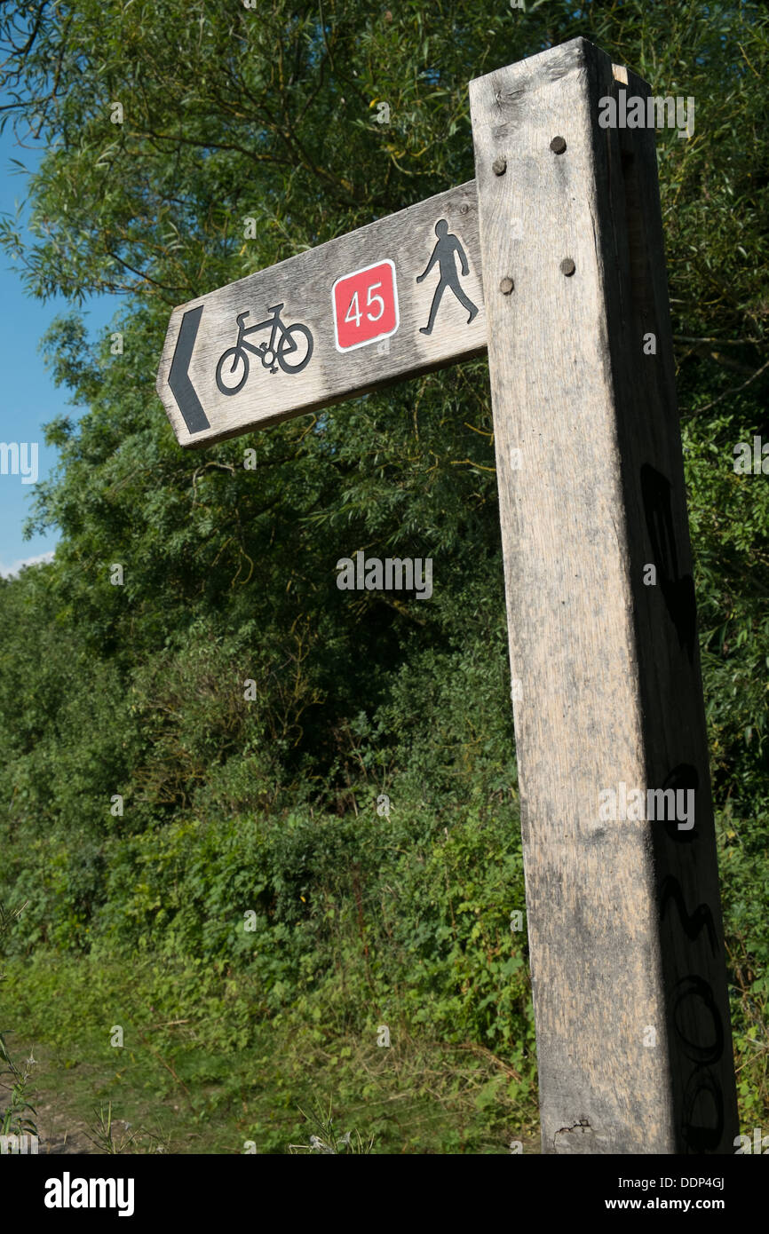A Wooden UK National cycle route sign showing the direction of th path, depicting a bicycle, a walker and the number 45 Stock Photo