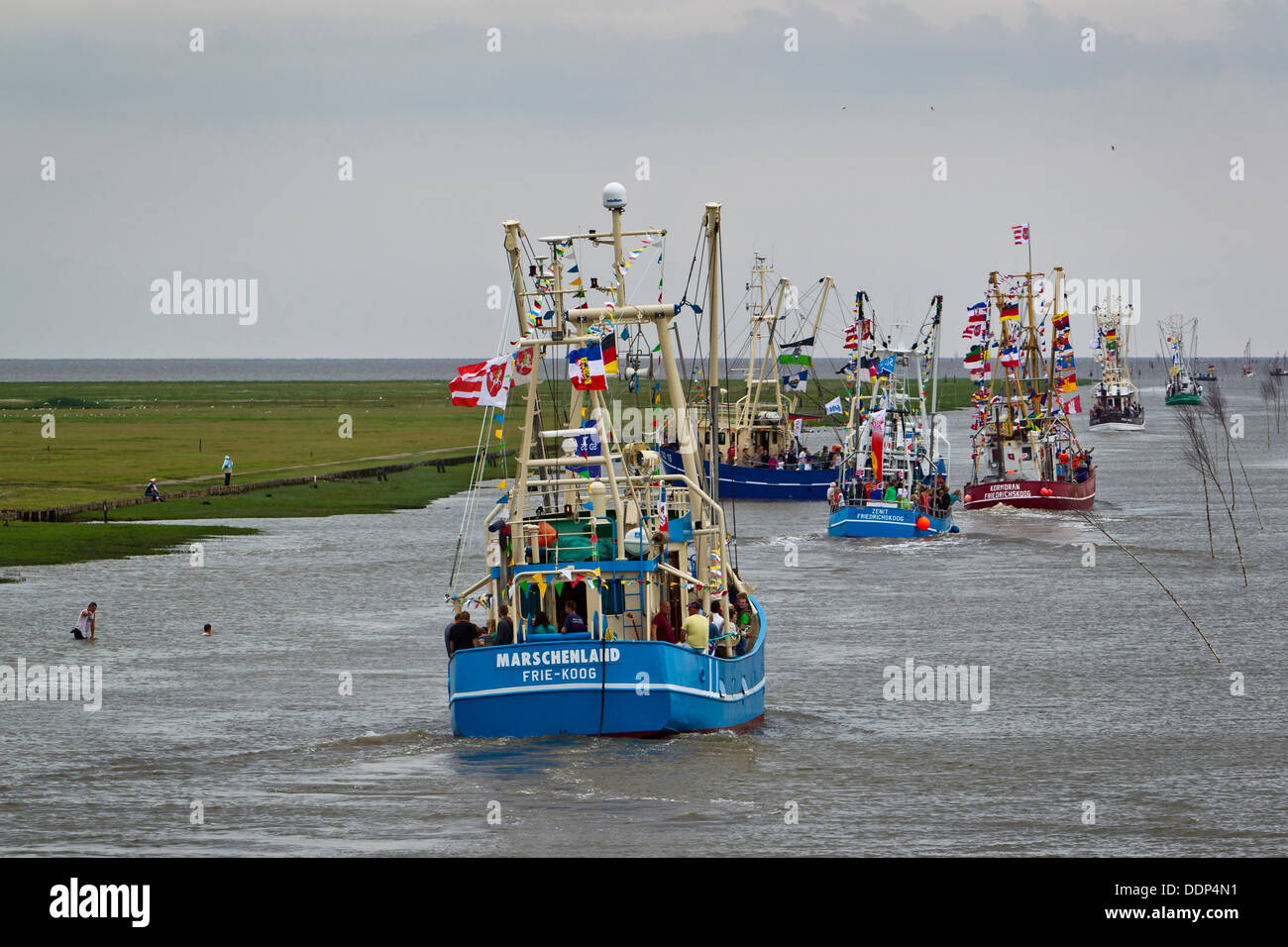 Regatta of fishing boats, Friedrichskoog, Schleswig-Holstein, Germany, Europe Stock Photo