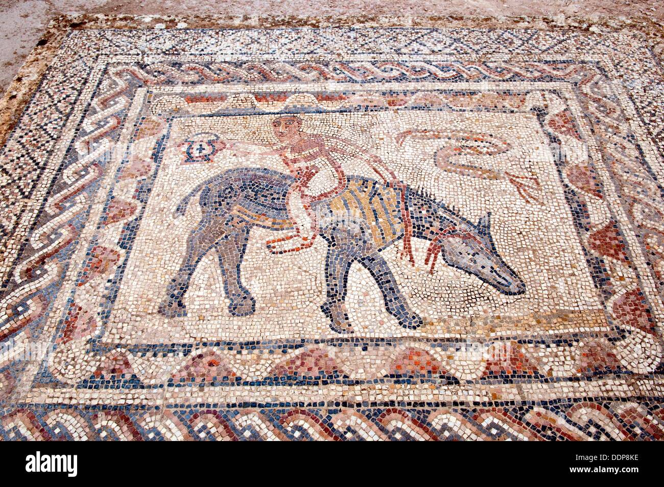 A mosaic tile graphic on the floor of the ruined Volubilis archeological site near Moulay Idriss, Morocco Stock Photo