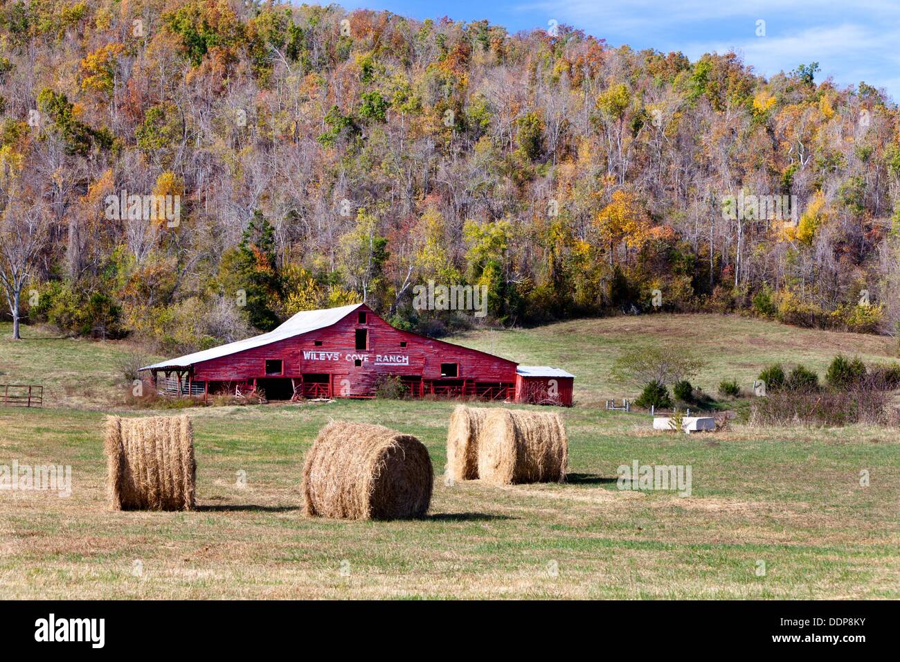 Osarks Ranch Agriculture in arkansas hi-res stock photography and images - Alamy