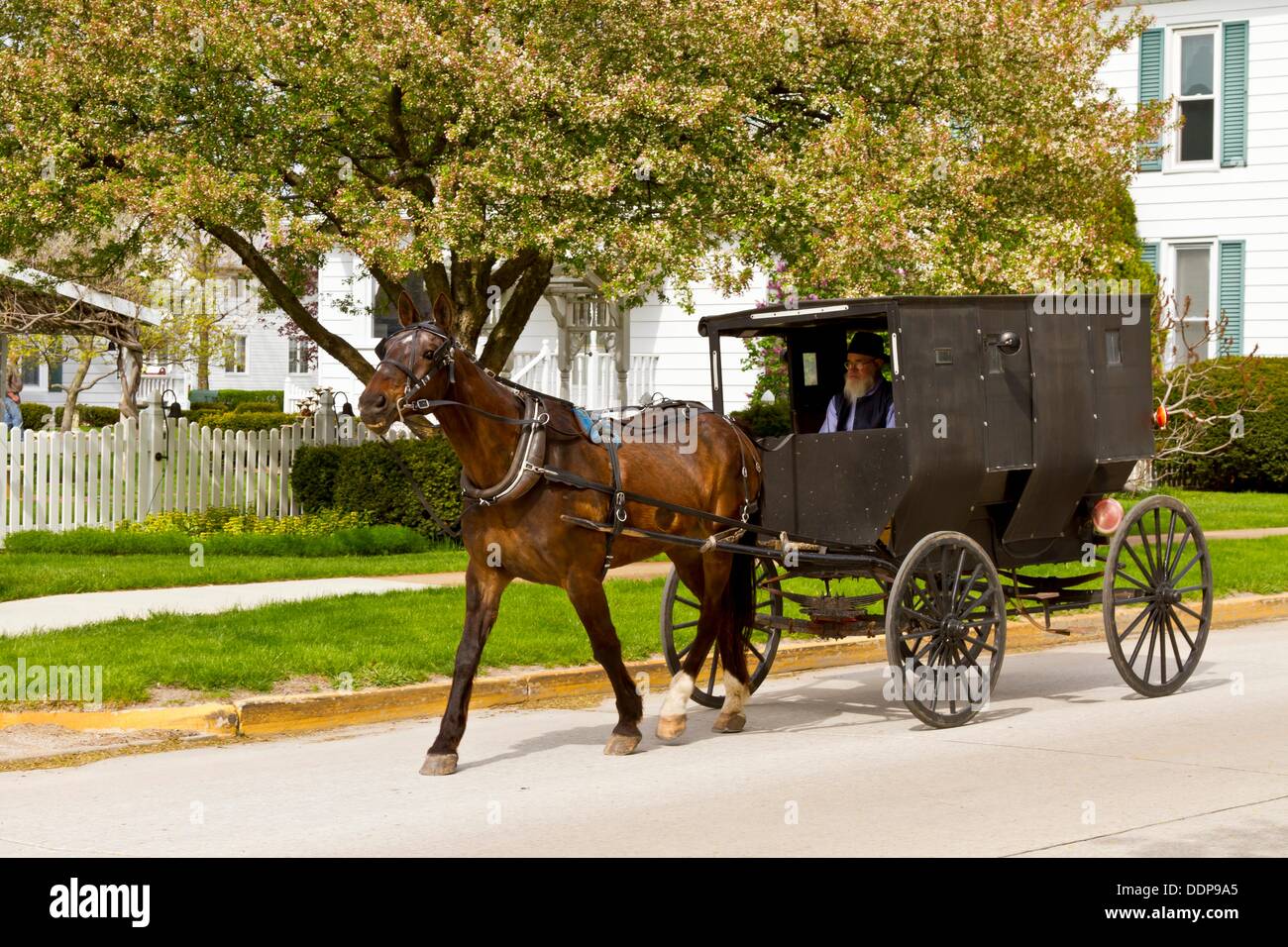 Amish and Mennonites in their horse and buggies in Shipshewana, Indiana, USA Stock Photo Alamy