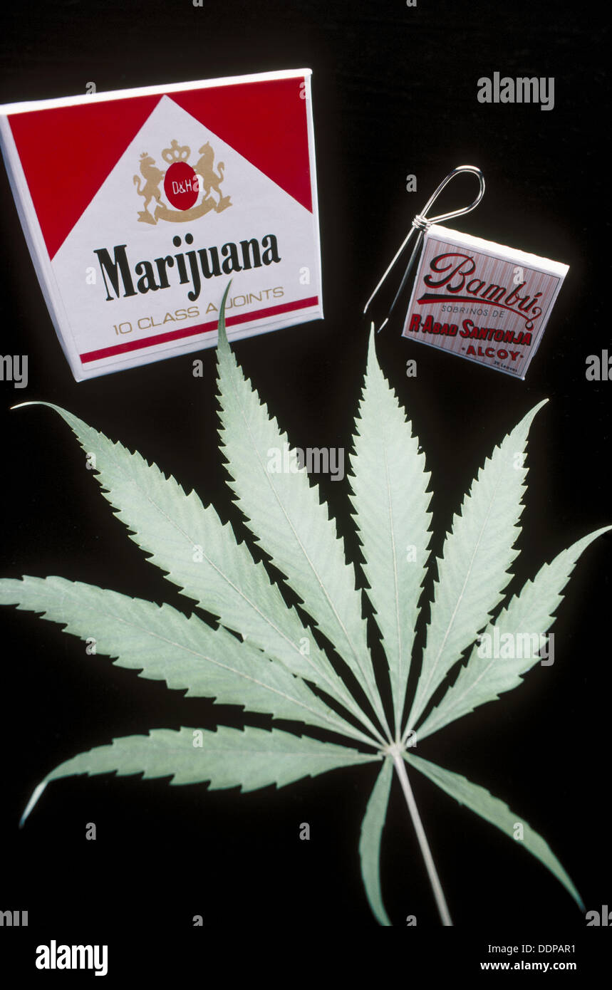 Marijuana cigarette pack hires stock photography and images Alamy
