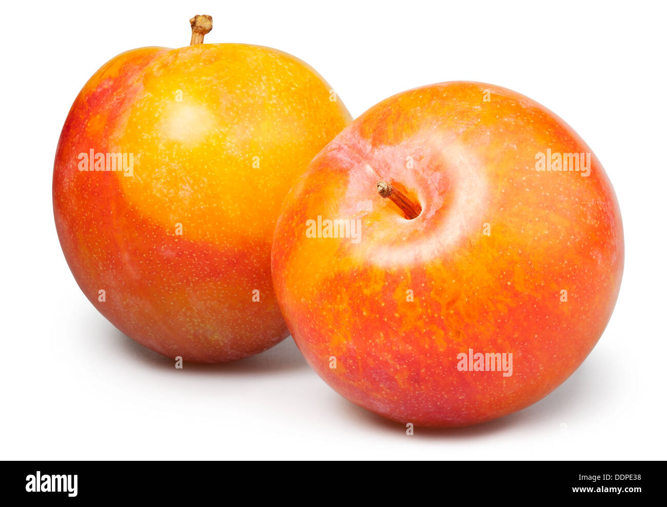 plum yellow two on white background Stock Photo
