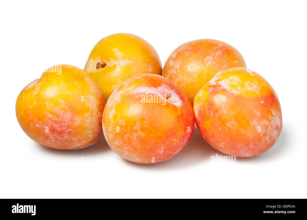 plum yellow group on white background Stock Photo Alamy