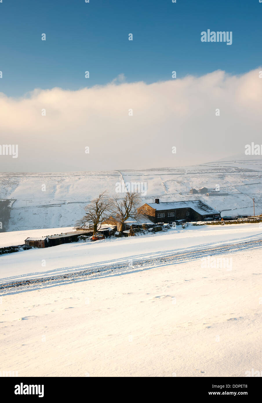 Deep snow covers the field around a Yorkshire moorland farmhouse during a particularly harsh winter Stock Photo