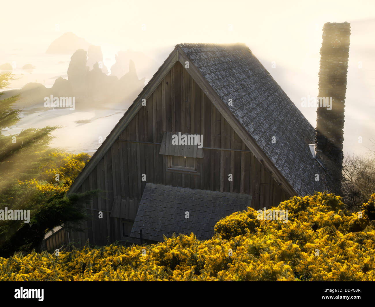Cabin With Setting Sun And Gorse Wildflowers Bandon Oregon Coast