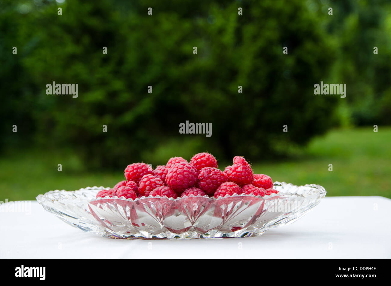 Fresh raspberries in a glass bowl on a table with green background Stock Photo