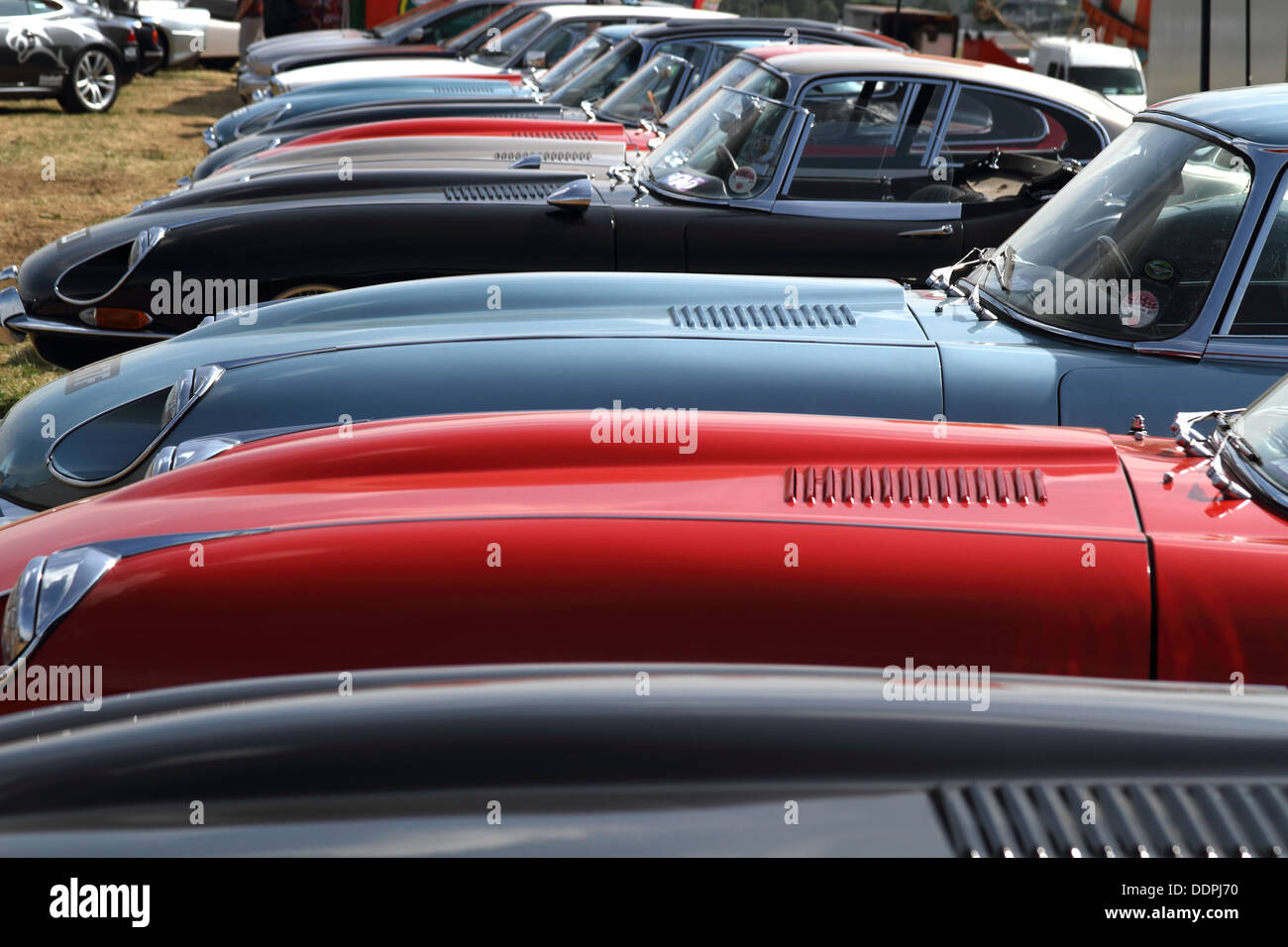 A Collection of Jaguar E-Type Sports Cars Stock Photo