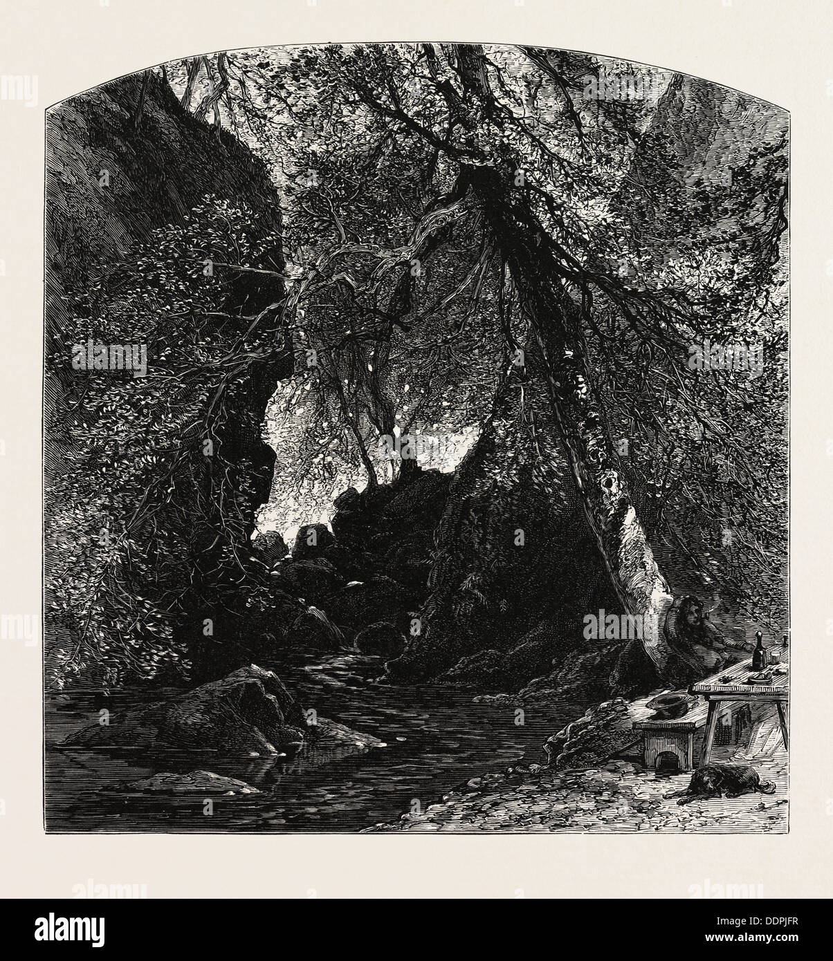 The Dargle, Ireland, Irish, Eire, 19th century engraving Stock Photo Alamy