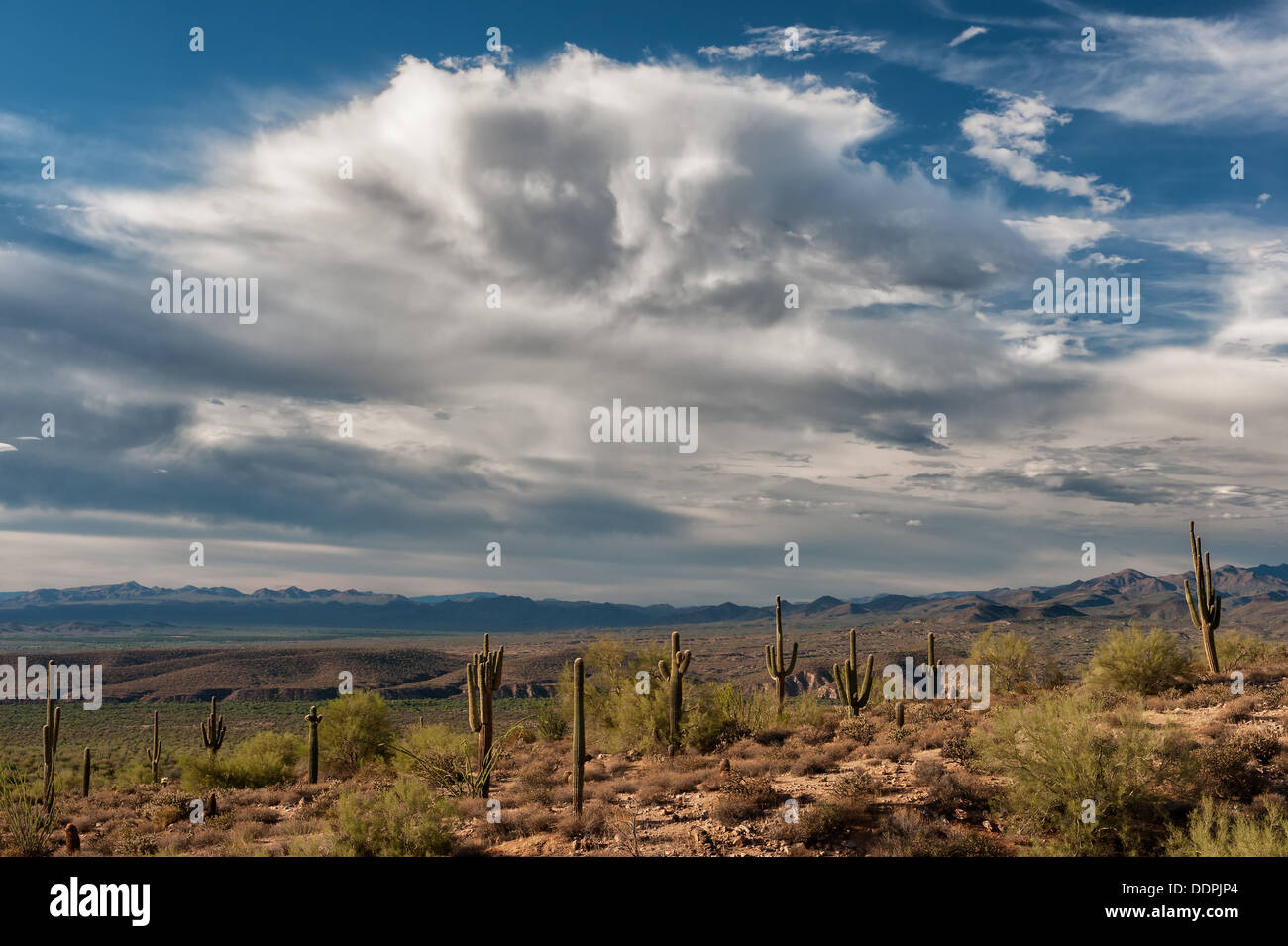 Rain storm desert hi-res stock photography and images - Alamy